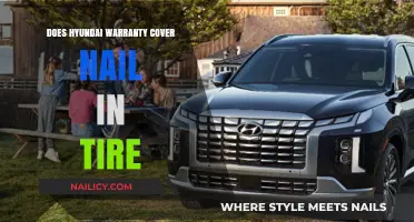 Hyundai Warranty Coverage: Does It Include Nail-Related Tire Damage?