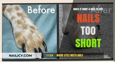 How Short is Too Short for Dog Nails?