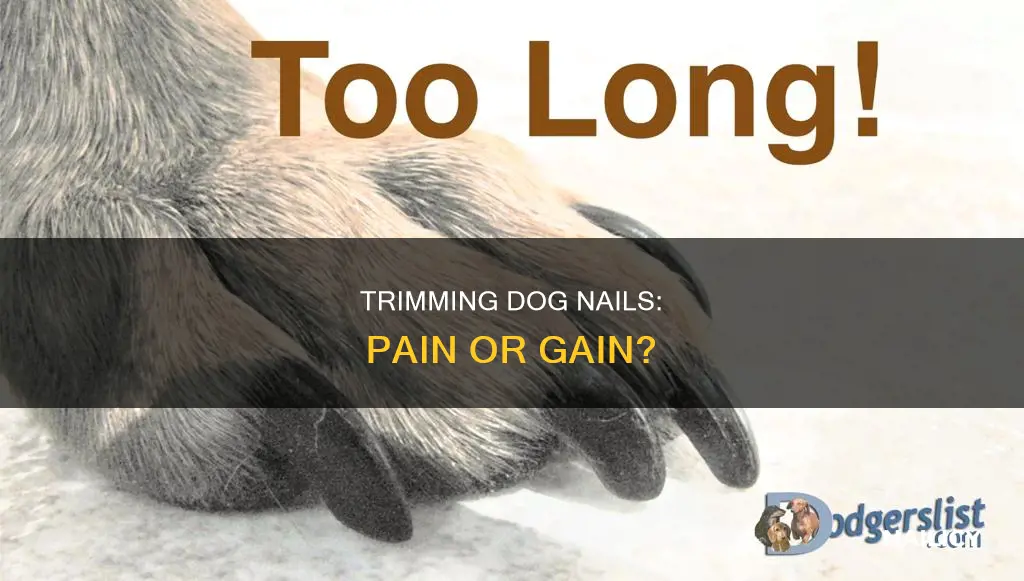 does it hurt dogs to trim their nails