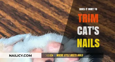 Trimming Your Cat's Nails: Pain or Gain?