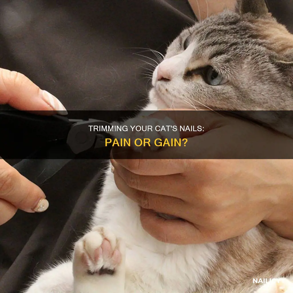 does it hurt to trim cat