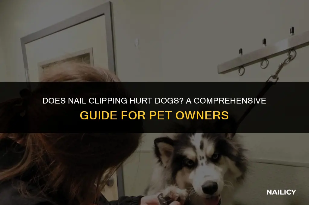 does it hurt when dogs get their nails clipped