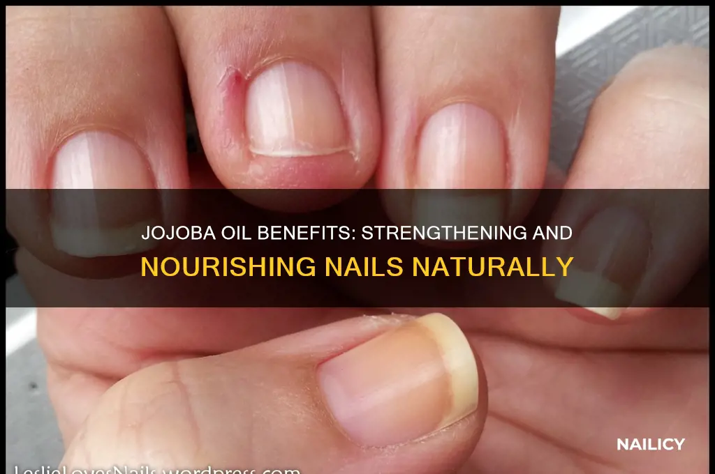 does jojoba oil help nails