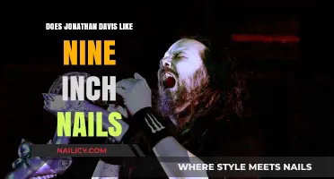 Jonathan Davis' Admiration for Nine Inch Nails: Fact or Fiction?