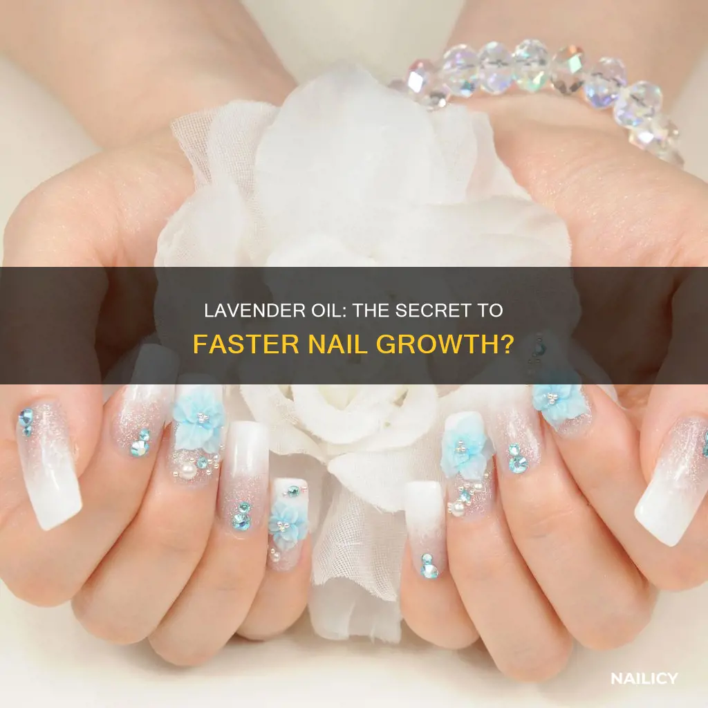 does lavender oil help nail grow