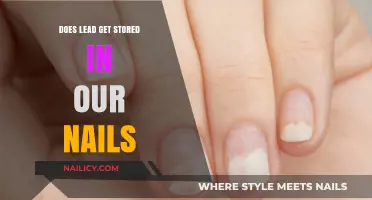 Unveiling the Truth: Does Lead Accumulate in Our Nails?