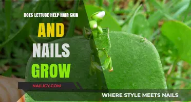 Lettuce and its Beauty Benefits: Hair, Skin, and Nails