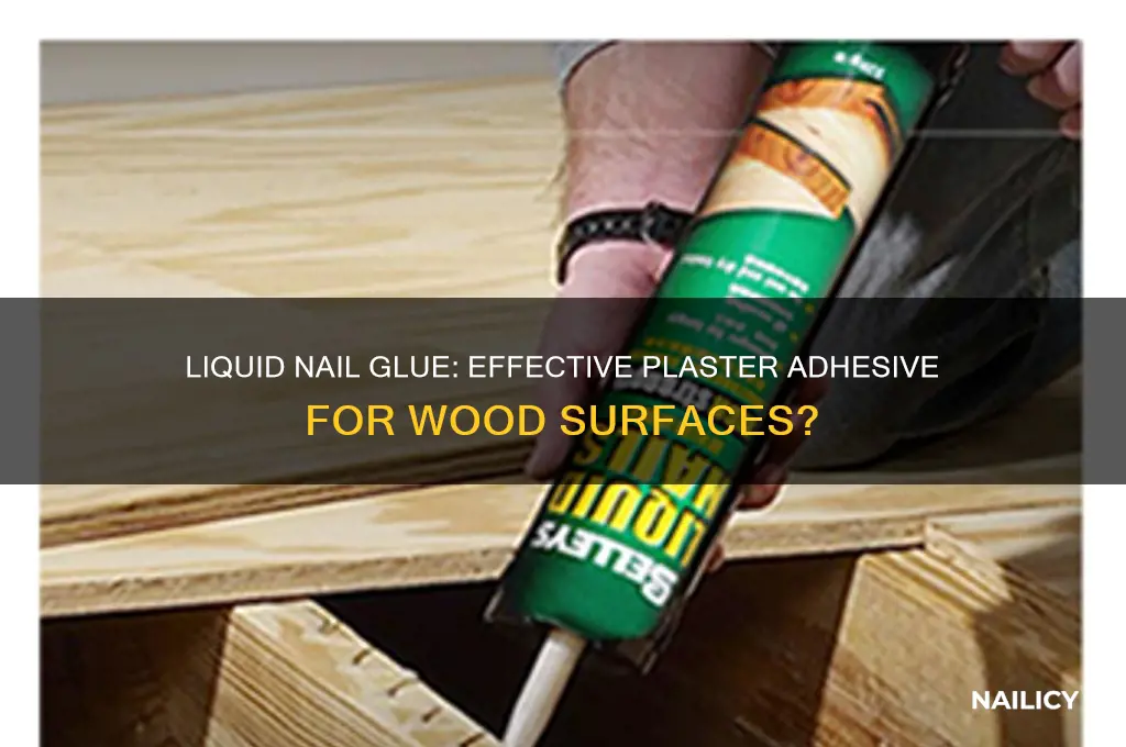 does liquid nail glue plaster to wood