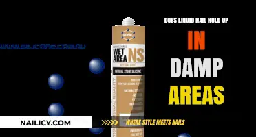 Liquid Nails in Damp Areas: Durability and Best Practices Explained