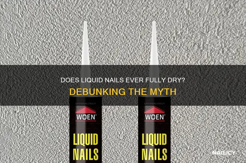 does liquid nail never dry