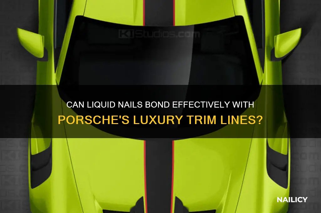 does liquid nail work on porsche line