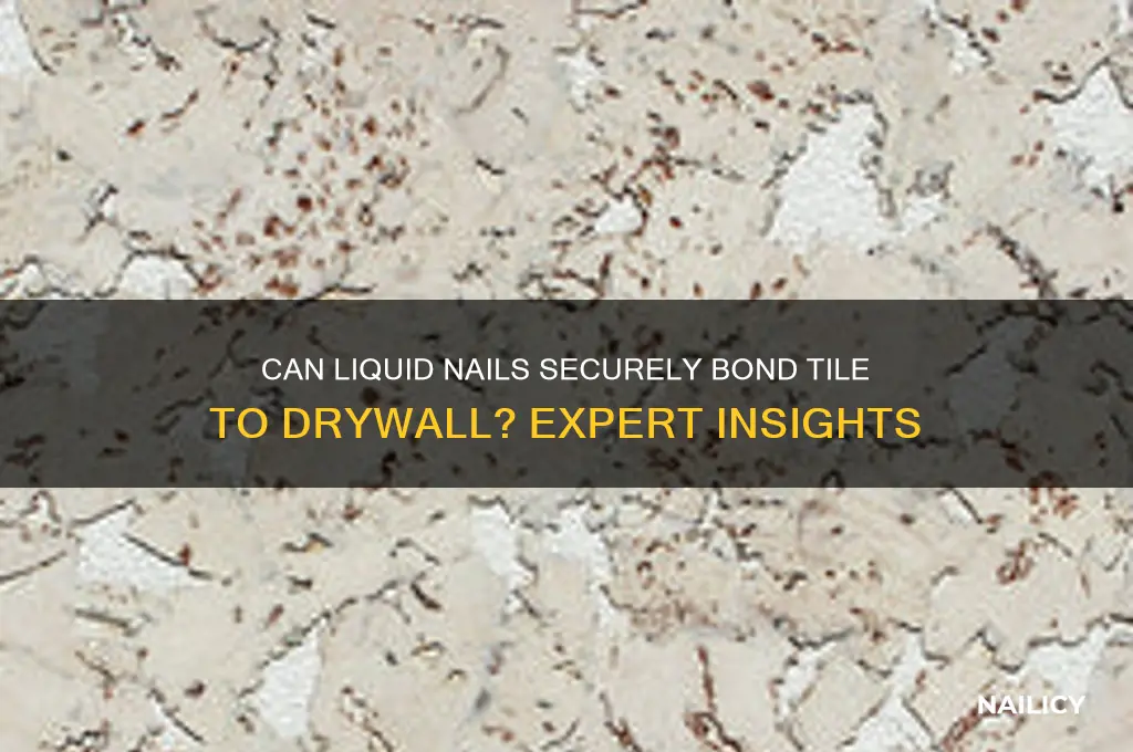 does liquid nails bond tile to drywall