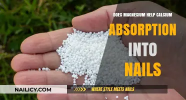 Magnesium's Role in Enhancing Calcium Absorption for Stronger Nails