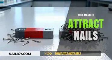 Do Magnets Attract Nails? Unveiling the Science Behind Magnetic Forces