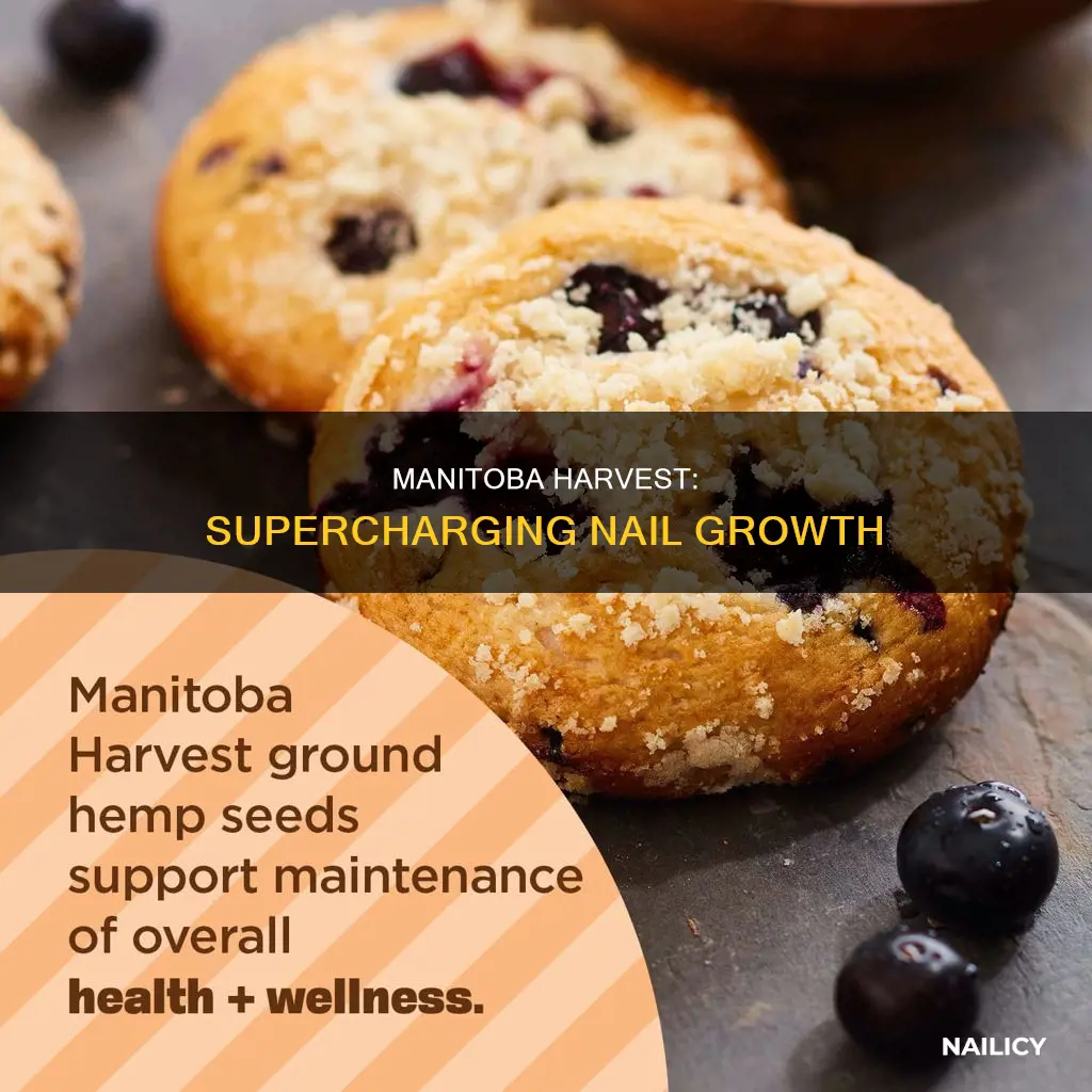 does maintoba harvest help nails grow