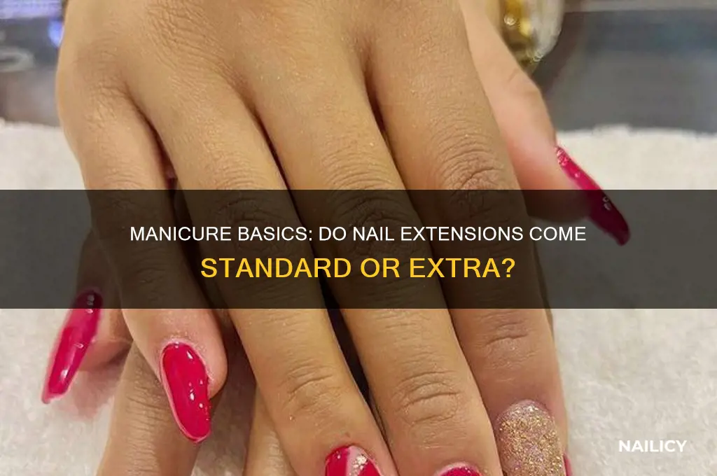 does manicure include nail extensions