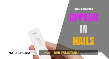 Does Marijuana Show Up in Nail Tests? Facts and Myths Explained