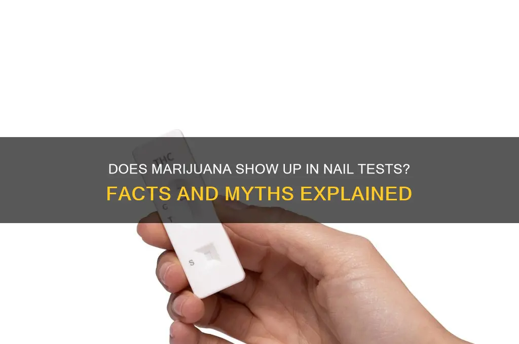 does marijuana appear in nails