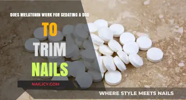 Melatonin's Sedative Effect on Dogs: An Alternative for Nail Trimming