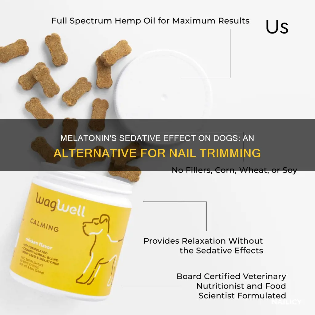 does melatonin work for sedating a dog to trim nails