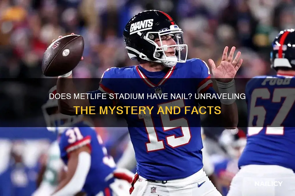 does metlofe stadium have nail