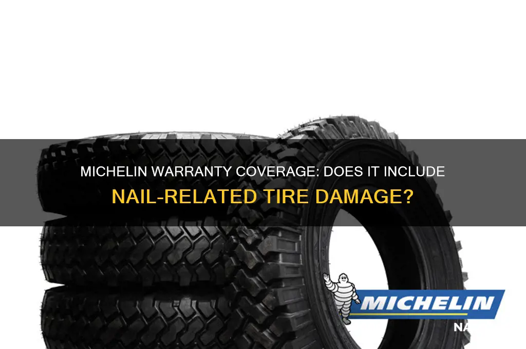 does michelin warranty cover nails