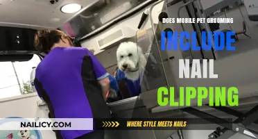 Mobile Pet Grooming Services: Does Nail Clipping Come Standard?