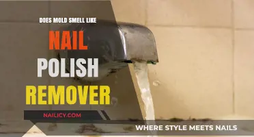 Mold's Smell: Why It's Like Nail Polish Remover