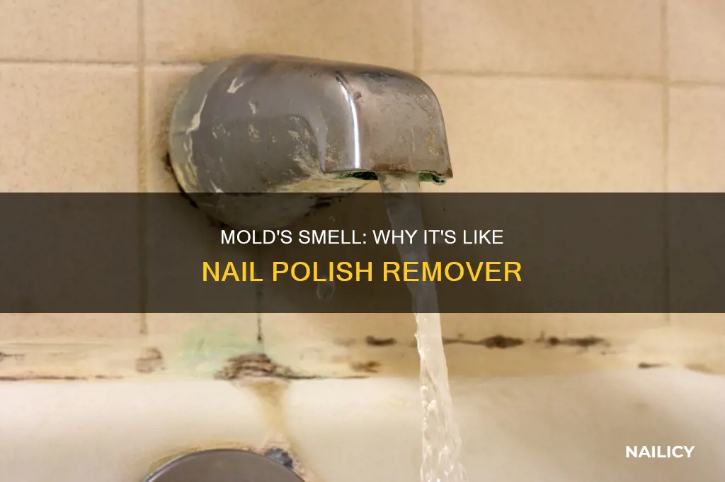 does mold smell like nail polish remover