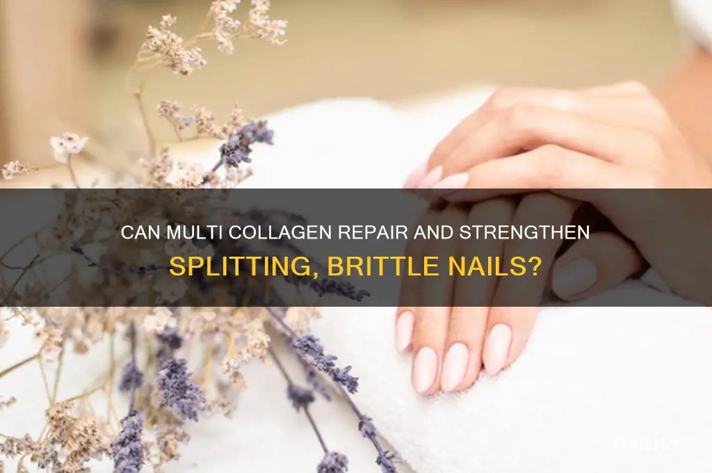 does multi collagen help with splitting nails