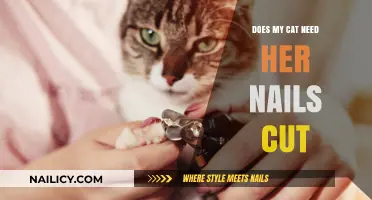 Cat Claw Clipping: When and Why to Trim