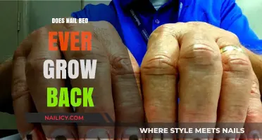 Can Nail Beds Regenerate? Understanding Nail Bed Growth