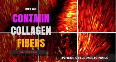 Do Nails Contain Collagen Fibers? Unraveling the Truth Behind Nail Health