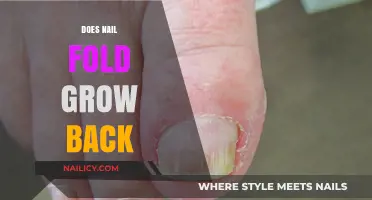 Nail Fold Injuries: Can They Regrow?