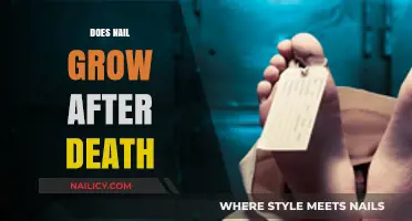 Do Nails Grow After Death?