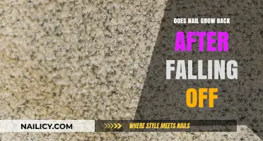 Will Nails Grow Back After Falling Off?