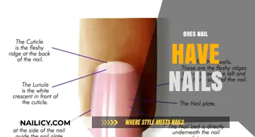 Do Nails Have Nails? Unraveling the Confusing Terminology