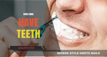 Unraveling the Myth: Do Nails Have Teeth? A Scientific Exploration