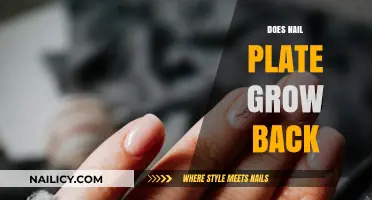 How Nails Regenerate: Nail Plate Recovery