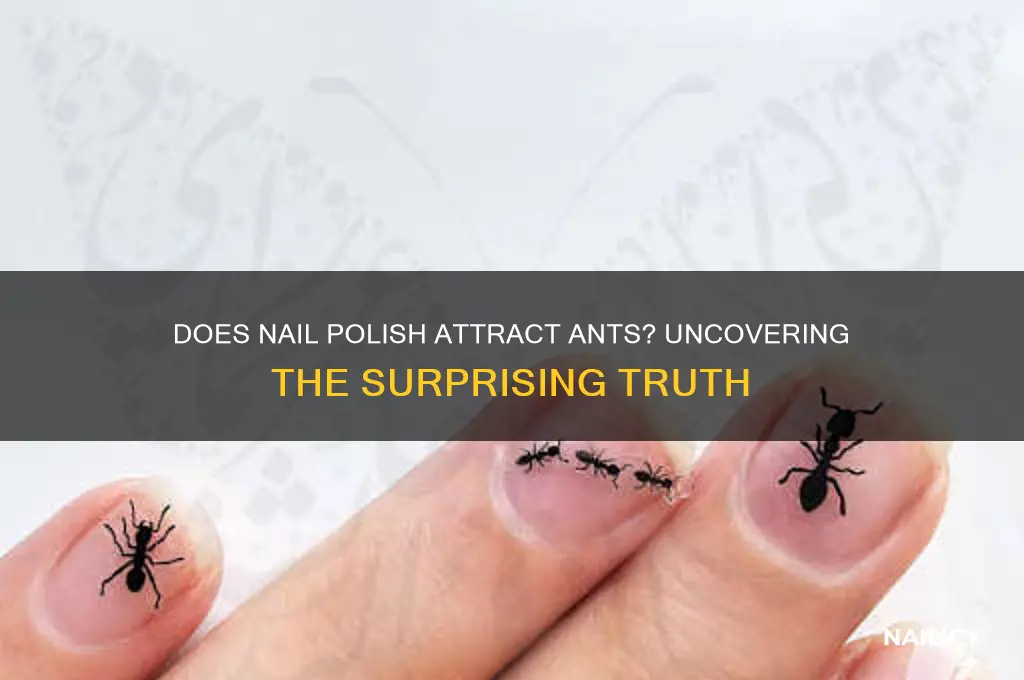 does nail polish attract ants