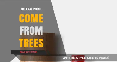 Is Nail Polish Derived from Trees? Uncovering the Surprising Origins