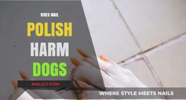 Is Nail Polish Safe for Dogs? Potential Risks Explained