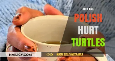 Nail Polish and Turtles: Uncovering the Hidden Environmental Impact