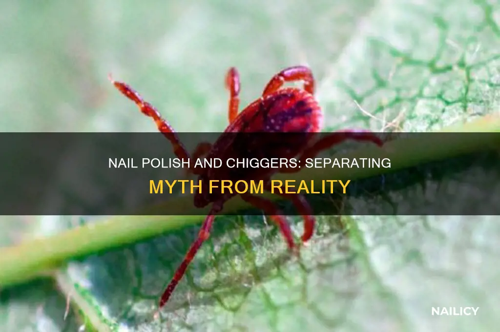 does nail polish kill chiggers thoughtcothoughtco
