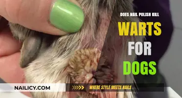 Can Nail Polish Safely Remove Warts on Dogs? Expert Insights