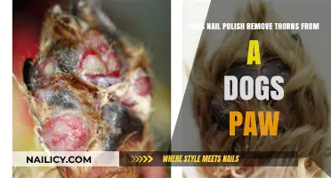 How Nail Polish Can Help Your Dog's Paw Thorns