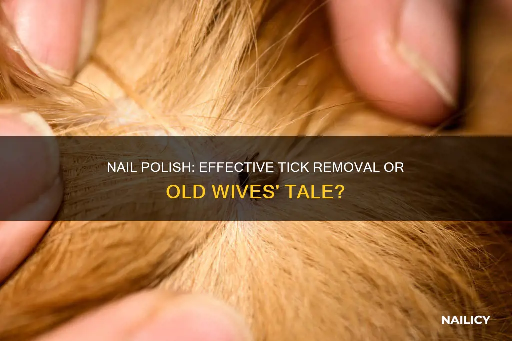 does nail polish remove ticks