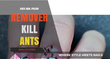 How Nail Polish Remover Can Kill Ants
