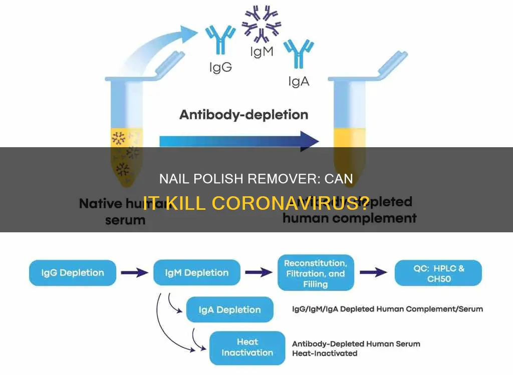 does nail polish remover kill coronavirus