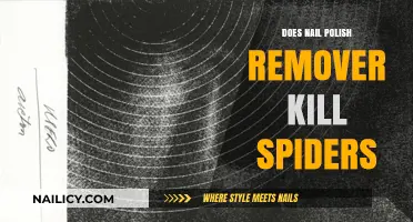 How Nail Polish Remover Can Kill Spiders